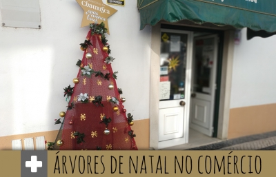 Município disponibiliza árvores de Natal ao comércio local da vila