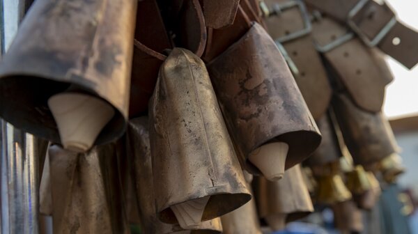 Chamusca Feira de S Pedro e do Chocalho