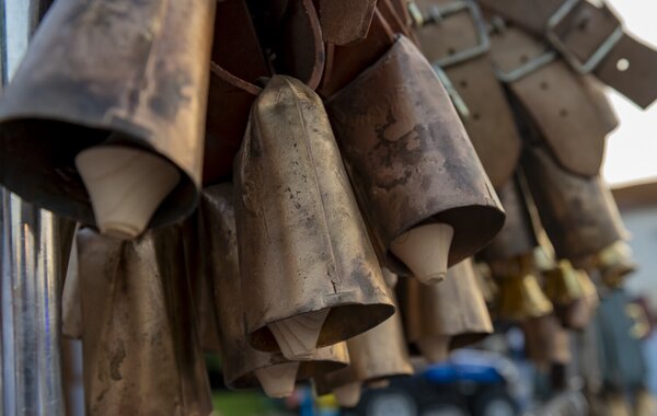 Chamusca Feira de S Pedro e do Chocalho