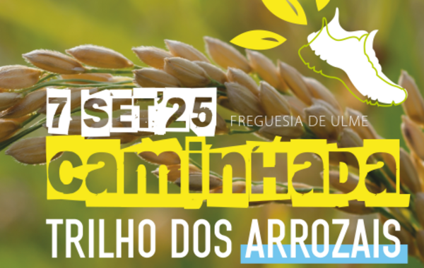 captura_de_ecra_2025_08_21_095941