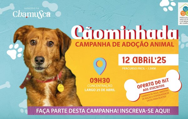 caominhada_2025_site