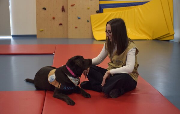 Chamusca Mestre Cão
