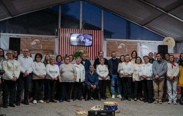 Chamusca - Festival do Cogumelo