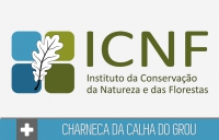 Alteração da Delimitação Territorial da Zona de Intervenção Florestal da Charneca da Calha do Grou | Deliberação do Conselho Diretivo ICNF