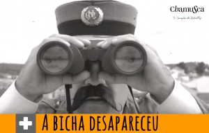 O estranho desaparecimento da BICHA (vídeo)