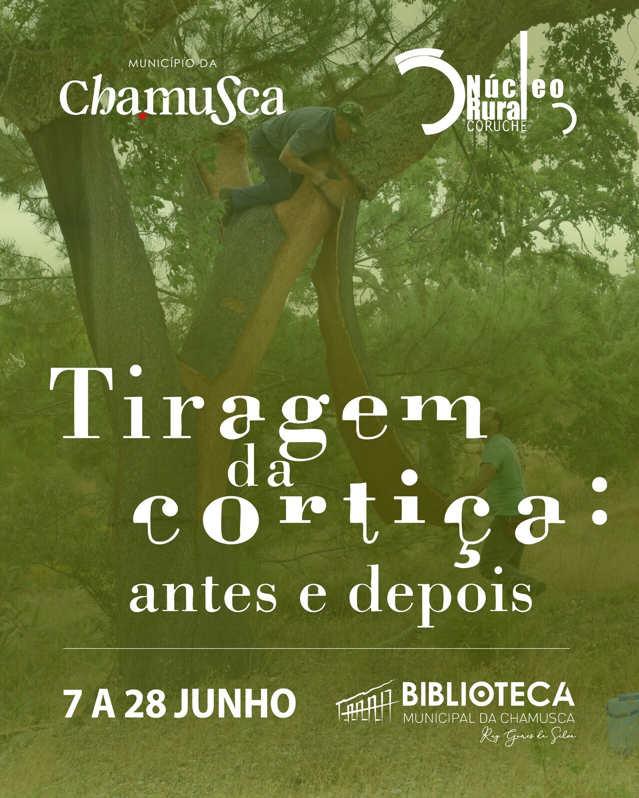 Exposição “A tiragem da cortiça: Antes e Depois”