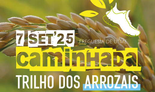 Trilho dos Arrozais