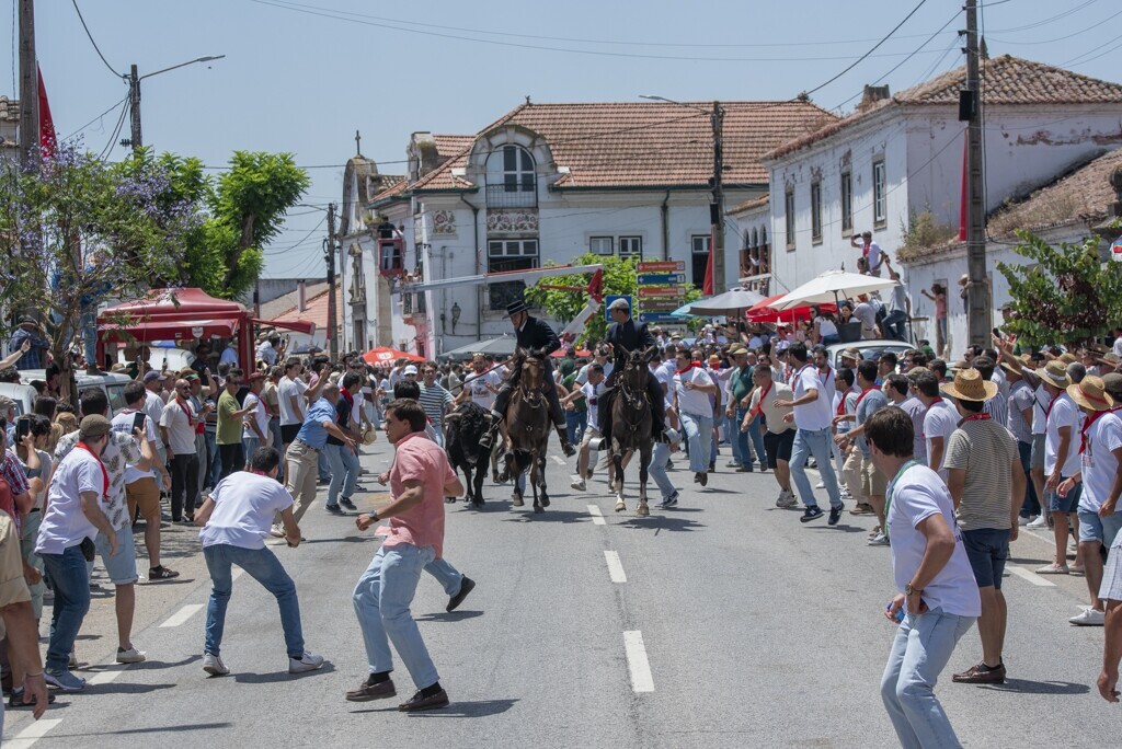 Ascensão é na Chamusca - Os Toiros Estão na Rua