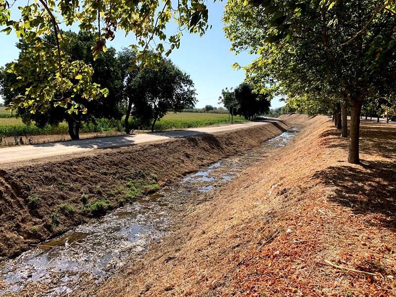 Reabilitação do Sistema de Diques no Rio Tejo no Concelho da Chamusca