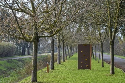 Circuito de Manutenção do Pinheiro Grande (Ribeira do Casal Velho)