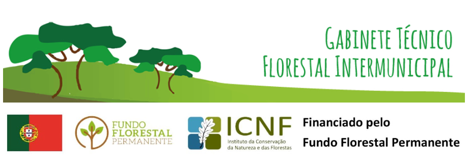 Captura de ecr&atilde; 2025-02-24 144813