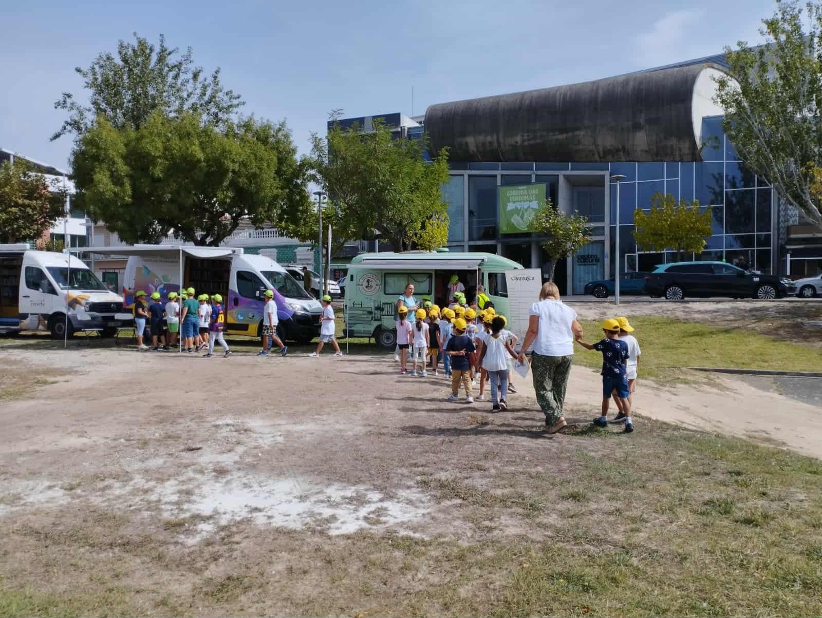 Chamusca - Facil 3 (3)